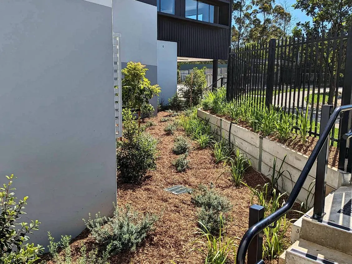 Mulched garden bed with a concrete sleeper wall beside a modern building and stairs