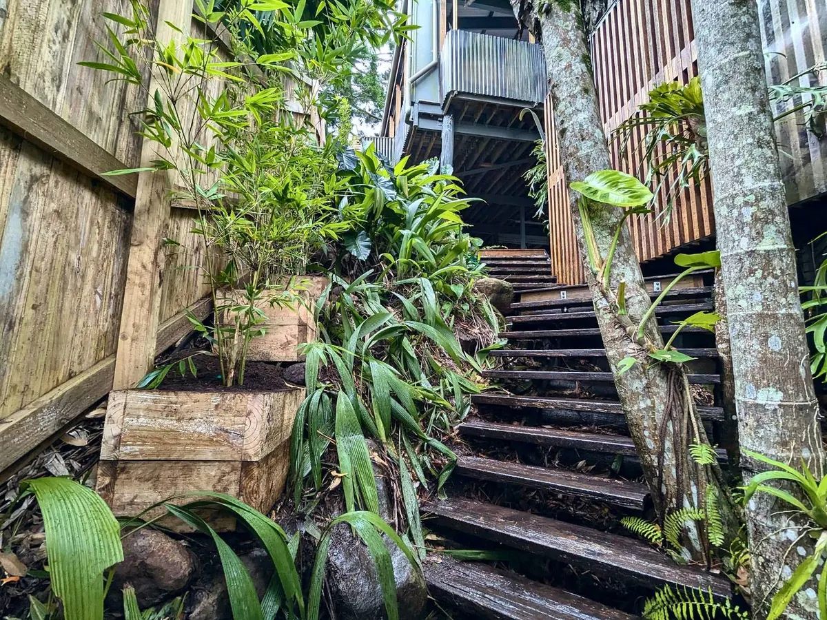 Timber sleeper planters with bamboo and ferns beside garden stairs